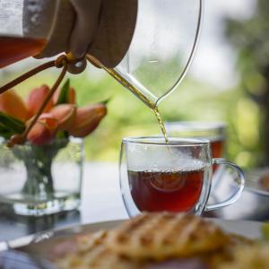 KING BED & HOT TUB in Cloud Forest Mountains with WIFI, Volcán, Panama