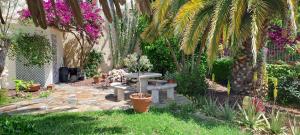 Suite & Spa Panoramic Olivars