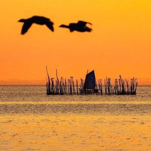 Sejours chez l'habitant Belle chambre lit King size : photos des chambres