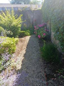 Studio cosy à Sedan avec jardin clôturé de 22 m²