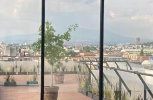 Habitación Shefa Solar 3