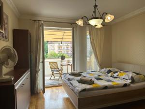 Apartment Julia in the center of Karlovy Vary