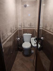 Радкината къща