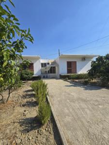 Alma House Vlore