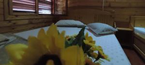 La Tavi casute tip camping