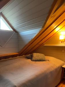 Cabin and outdoor hot tub in Levi