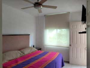 Coral House on the Coast with Pool