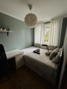 Grunwald apartment