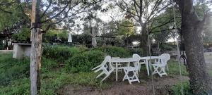 Campings Hebergements bohemes pleine nature : photos des chambres