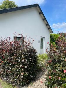 B&B t Voorthuisje - de romantische getaway voor twee