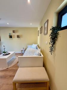 TinyMoko - Mons - proche du Shape et Pairi Daiza