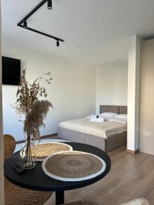 Dvaro central studio