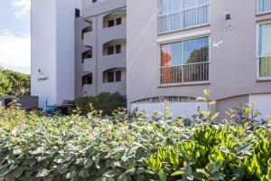 Studio La Presquîle 2