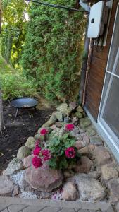 Namelis prie Magnolijos