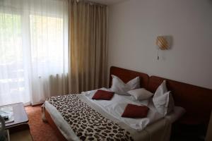 Vila Aosta 21 - 3hvězdičkové hotely ve městě Sinaia