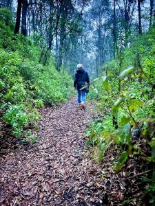 Glamping Vive Tlaxcala - Santuario de las luciérnagas