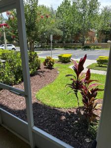 PalmTree Oasis 3 bedroom Condo at Windsor Hills