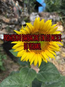 Las Peonías Casa Rural