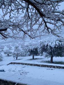 Cheerful 3 bedroom cottage with indoor fireplace