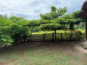 Camping rancho victoria