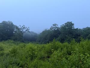 Camping rancho victoria