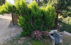 Ferienwohnung Naturtraum