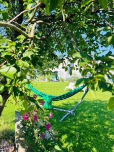 Zatoka Wypoczynku Grzybowo - Apartamenty dwupoziomowe