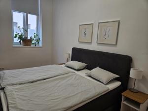 CityApartment3