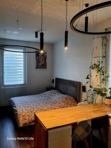 Appartements Hote Stephanois Studio & parking : photos des chambres