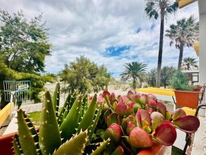 Relax and Sun in Costa del Silencio