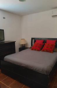 Magnífico Apartamento en Mérida