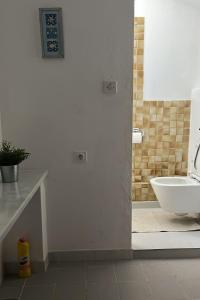 Seaside holiday house Zdrelac, Pasman - 340