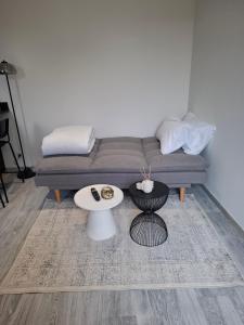 Appartements Appartement cosy proche centre-ville : photos des chambres