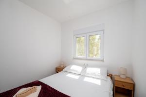 Secluded house with a parking space Cove Zuborovica, Pasman - 24333