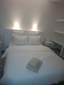 Appartements Appartement cosy proche centre-ville : photos des chambres