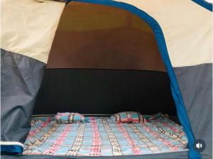 Mahue Rooms and Camping