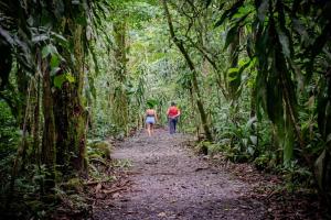 CASA DE CAMPO JACUZZI MONTAÑA NATURALEZA Leso