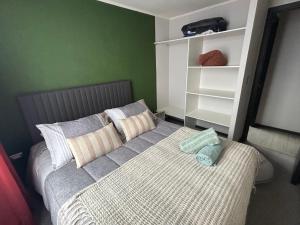 Gran Departamento Concepción