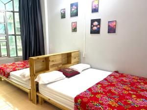 Bảo Bảo guest houes