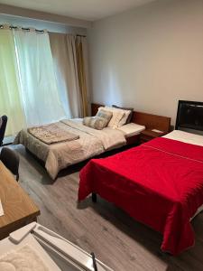 Downtown Montreal Airport 15Mins