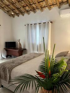 Casa ARANGÓ aluguel temporada com piscina Trancoso