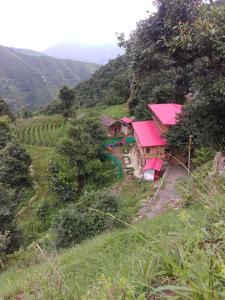 hotel chakrata green and camping