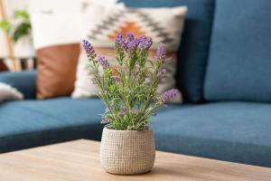 Dollys Dreamhouse, Mean Girls Retreat Unit 8