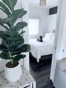 Coastal Vibes - Walk to beach, Marina, Cafes and Pubs