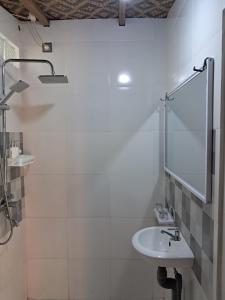 Arista Lakey Peak House