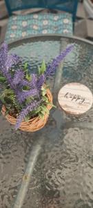 Apartman Lavanda