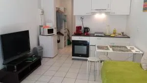 Studio dans la Villa "Litita" à Nice - Nice