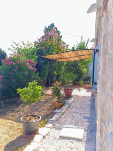 Appartements Lou Carami - Studio renove dans village Provencal : photos des chambres