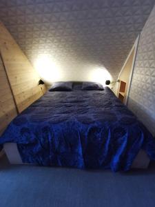 Appartements Duplex - Coeur de Station - Super Lioran : photos des chambres