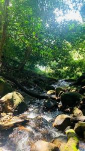 CALVARY MOUNT WiLD HOMES